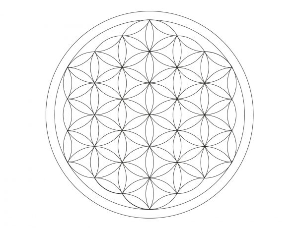 Flower of Life Logo